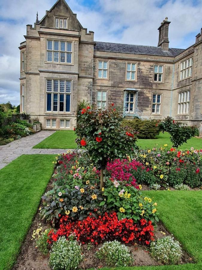 Green Acres Guesthouse- Accommodation Only Lower Coolcorcoran Exterior foto